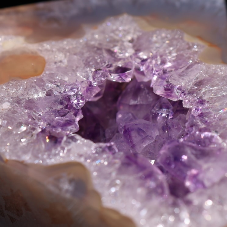 ���᥸���ȷ뾽���� ���ѥ������ȡڰ���ʪ�����ʼ���