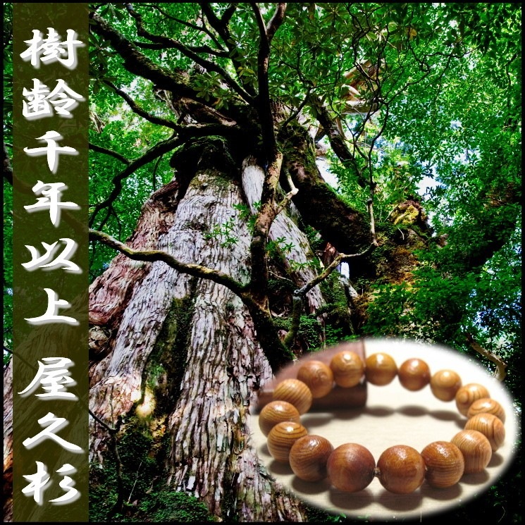 ���׿� �����󣳣�����������(����) �ǹ�� �� ������ �������դ�