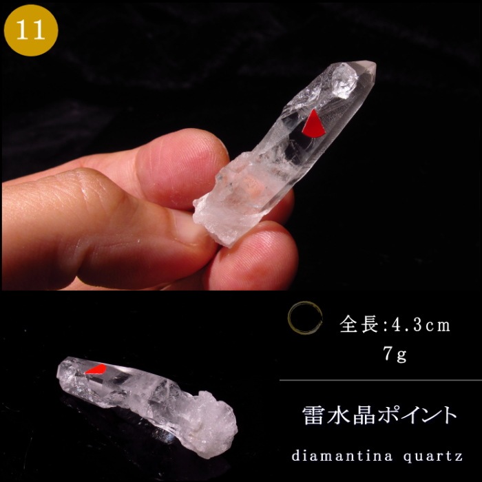 ��徽�ʥ饤�ȥ˥󥰥������ġ˥ݥ����