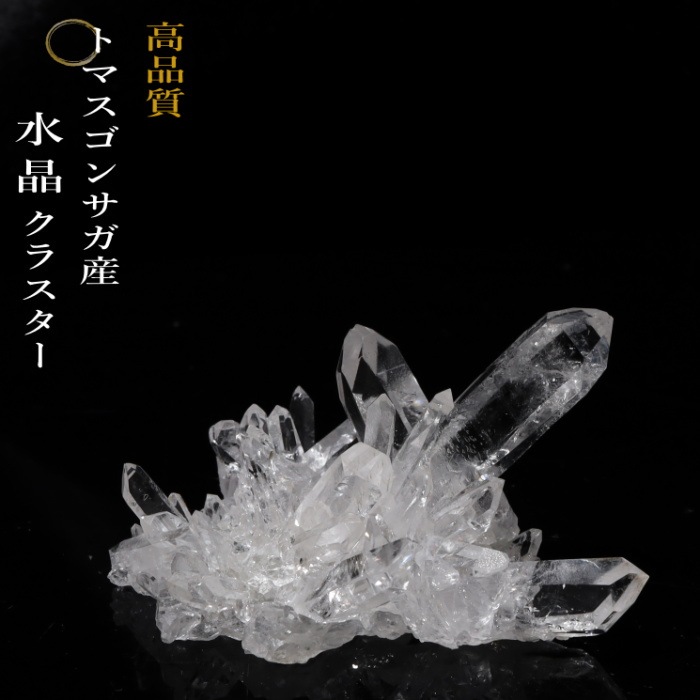 no32  �ȥޥ����󥵥��� �徽���饹���� ���ʼ�