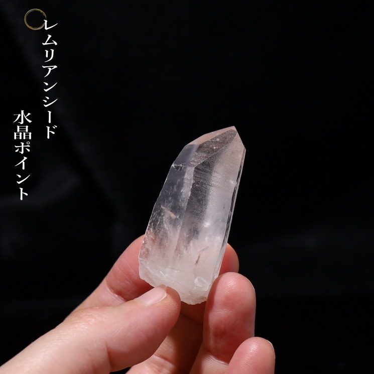 No23 ���ꥢ�󥷡��ɿ徽�ݥ���ȡ����֥�뻺 (Serra do Cabral)