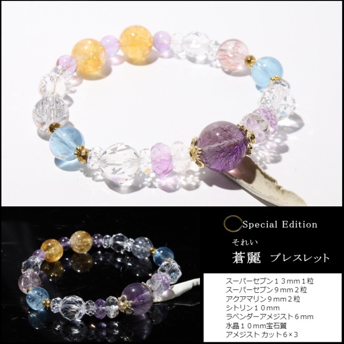 ����֥쥹��å� ��Special Edition(�������)