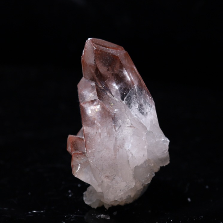 ԥ󥯥ꥢ󥷡ɿ徽ݥȡ Diamantina No