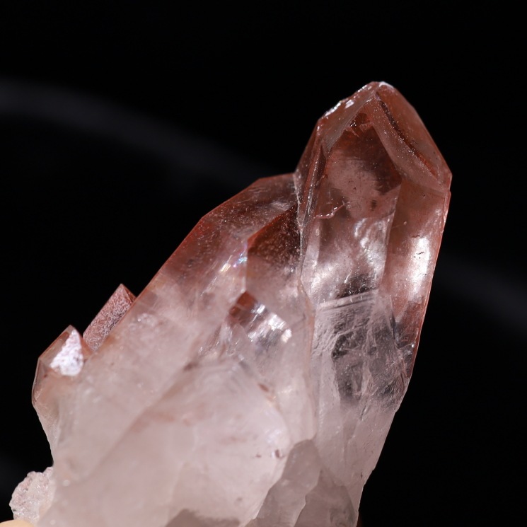 ԥ󥯥ꥢ󥷡ɿ徽ݥȡ Diamantina No