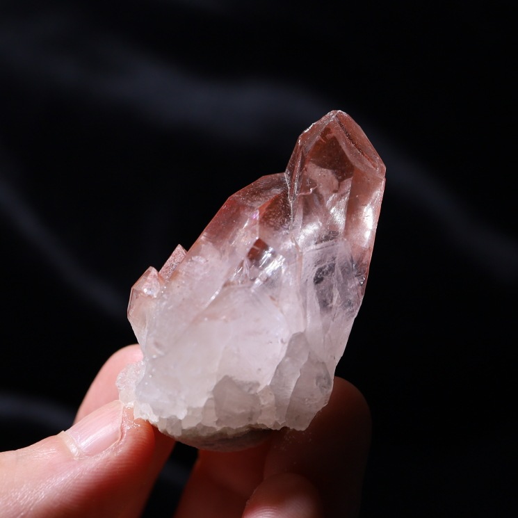 ԥ󥯥ꥢ󥷡ɿ徽ݥȡ Diamantina No