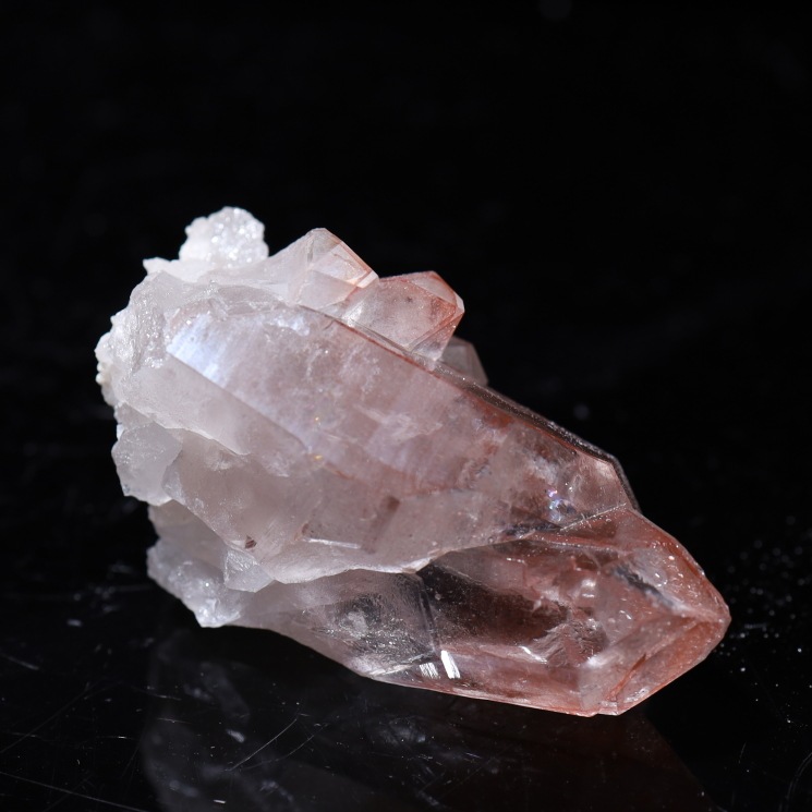 ԥ󥯥ꥢ󥷡ɿ徽ݥȡ Diamantina No