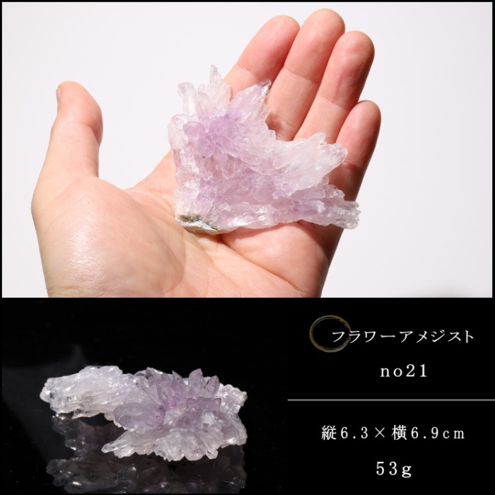 �ե����᥸���� no21