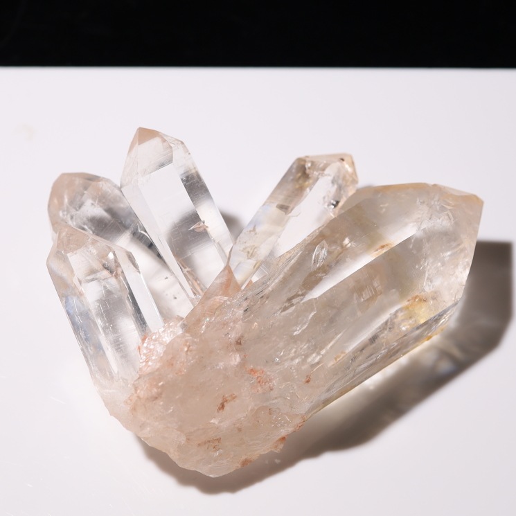 �ڴ����ʡۥޥ˥���� �ҥޥ��徽���饹���� ���ʼ� ���դ�