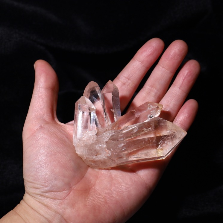 �ڴ����ʡۥޥ˥���� �ҥޥ��徽���饹���� ���ʼ� ���դ�