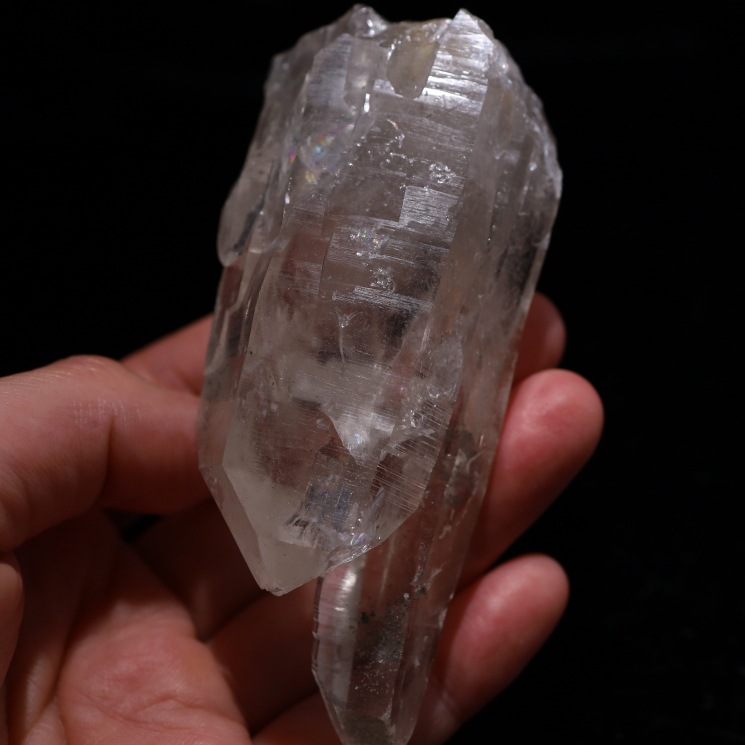 �ޥ˥ϡ��뻺 �ҥޥ��徽 No5