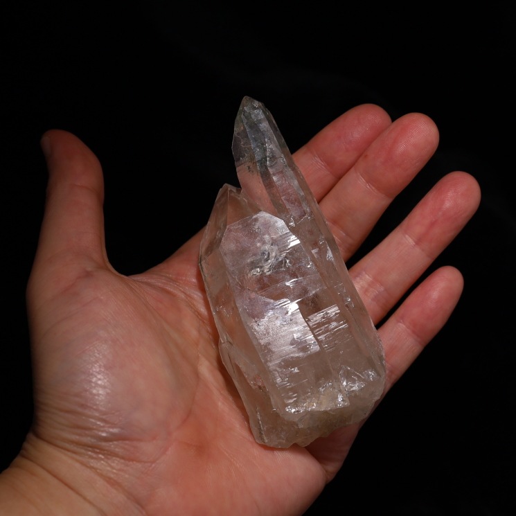 �ޥ˥ϡ��뻺 �ҥޥ��徽 No5