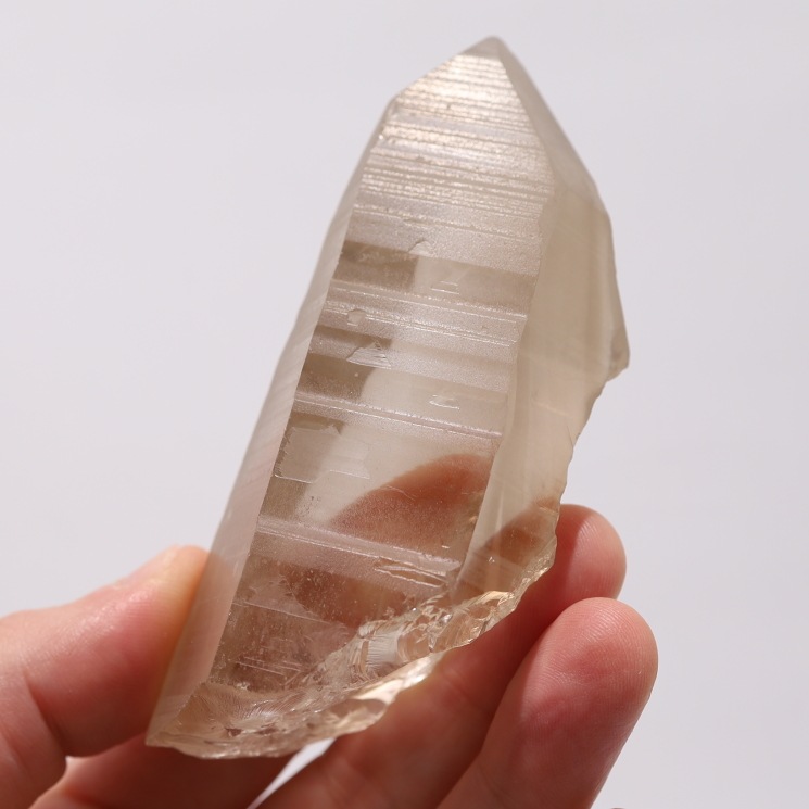 �ڴ����ۥ��⡼�������ꥢ�󥷡��� ���֥�뻺��1����Ρ�