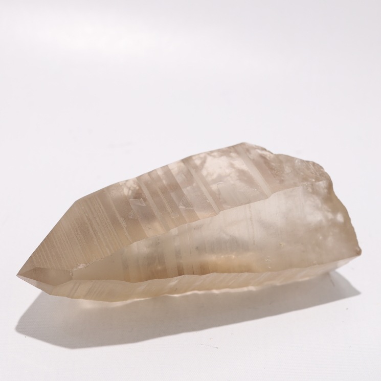 �ڴ����ۥ��⡼�������ꥢ�󥷡��� ���֥�뻺��1����Ρ�