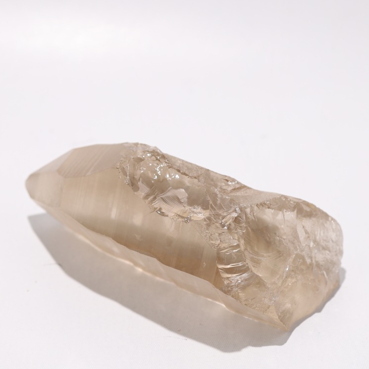 �ڴ����ۥ��⡼�������ꥢ�󥷡��� ���֥�뻺��1����Ρ�