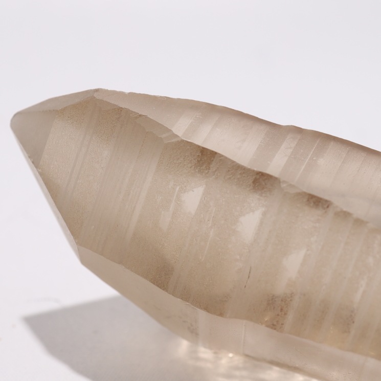 �ڴ����ۥ��⡼�������ꥢ�󥷡��� ���֥�뻺��1����Ρ�