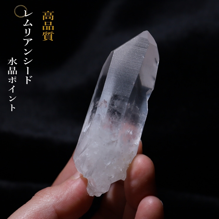 No43 ���ꥢ�󥷡��ɿ徽�ݥ���� ���ʼ������֥�뻺 (Serra do Cabral)