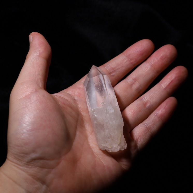 ���ꥢ�󥷡��ɿ徽�ݥ���� �ʥ����륰�졼�ɡ����֥�뻺 (Serra do Cabral) No51