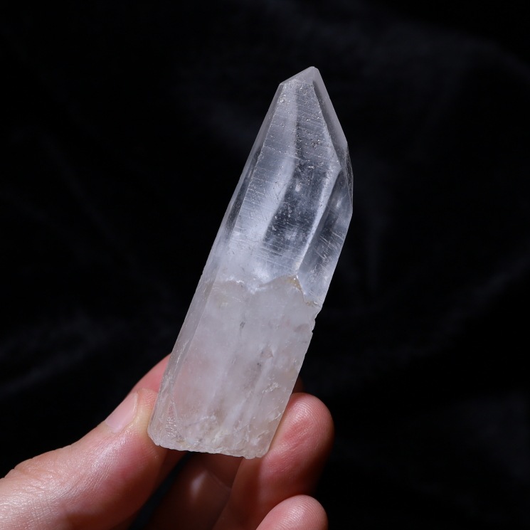 ���ꥢ�󥷡��ɿ徽�ݥ���� �ʥ����륰�졼�ɡ����֥�뻺 (Serra do Cabral) No51