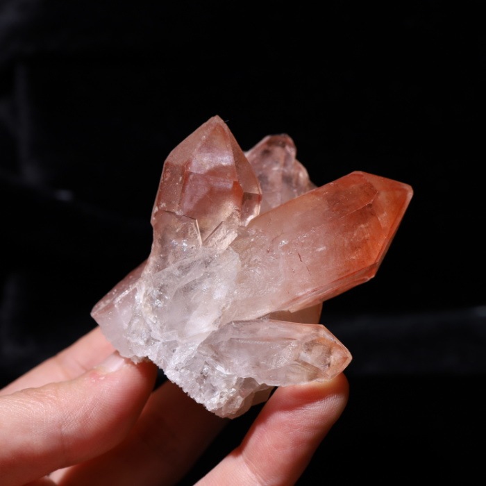 �ԥ󥯥��ꥢ�󥷡��ɿ徽���饹������ Diamantina�� No��