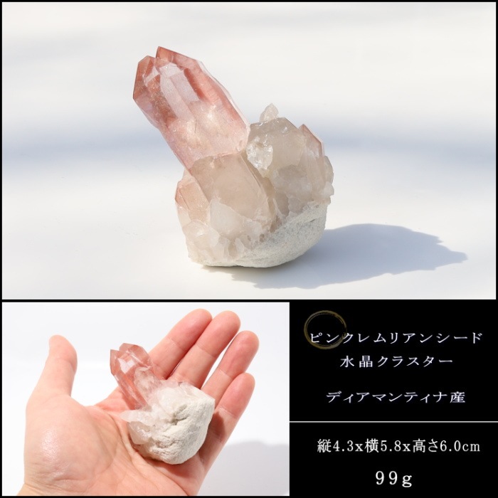 �ԥ󥯥��ꥢ�󥷡��ɿ徽���饹������ Diamantina�� No��