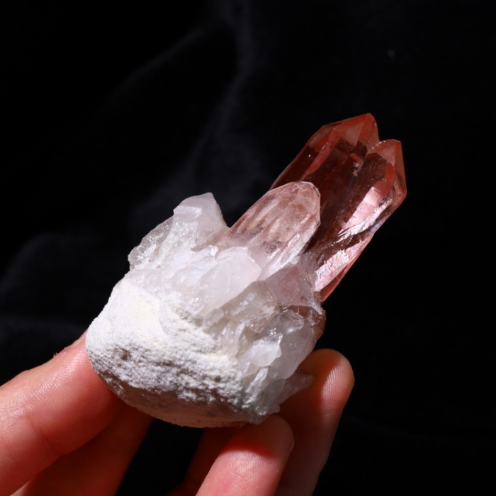 �ԥ󥯥��ꥢ�󥷡��ɿ徽���饹������ Diamantina�� No��