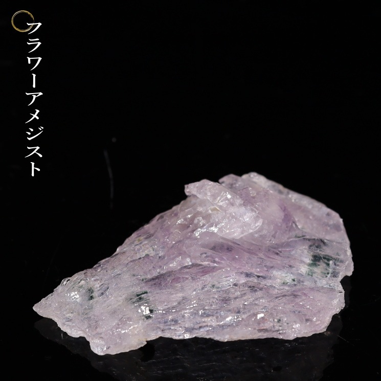 �ե����᥸���� No23