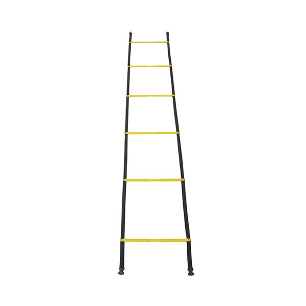 ガビック GAVIC ビルトインラダー 2.55m×42cm GC1238 トレーニング用品 折り畳み式 ケース付き イエロー