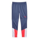 プーマ PUMA IND CUP トレーニングパンツ 658872 ジャージ ロングパンツ メンズ|サッカーウェア・フットサルウェア|サッカー