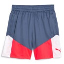 【ネコポス送料無料】 プーマ PUMA INDIVIDUALCUP TR ショーツ 658875 プラクティスパンツ ハーフパンツ 練習着 メンズ|サッカーウェア・フットサルウェア|サッカー