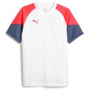 【ネコポス送料無料】 プーマ PUMA INDIVIDUALCUP SSシャツ 658883 プラクティスシャツ Tシャツ 半袖 メンズ|サッカーウェア・フットサルウェア|サッカー