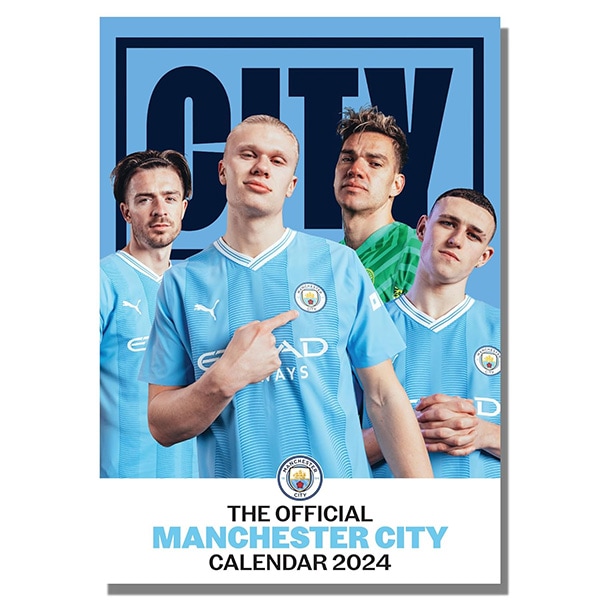 フィリピン バレーボール シャツ 2024年度バレーボール男子日本代表レプリカシャツ日本製