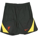 リバプール LFC 2024-25 ストライク サード Dri-FIT ニット ショートパンツ FQ2423-070 練習着 ダークスモークグレー ナイキ NIKE|サッカーウェア・フットサルウェア|