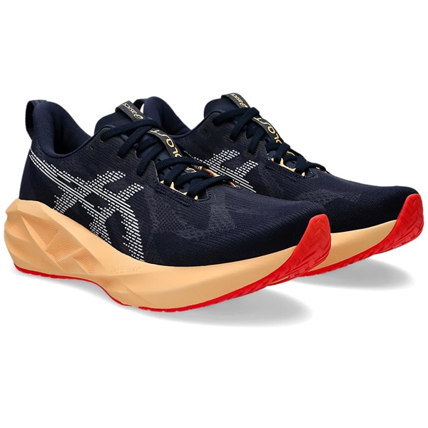【予約販売】アシックス asics メンズ ランニングシューズ NOVABLAST 5 WIDE マラソン ジョギング ワイド 1011B975-404
