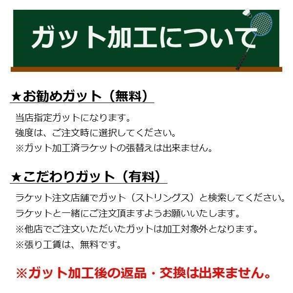 ガット張り＆マーク加工無料！ ヨネックス YONEX バドミントンラケット アストロクス22 AX22RX