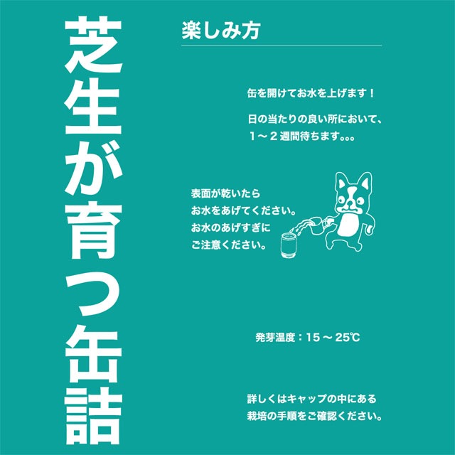 サッカージャンキー soccer junky ワイキキの草木 芝生缶 SJ21475 缶詰 植物 贈り物