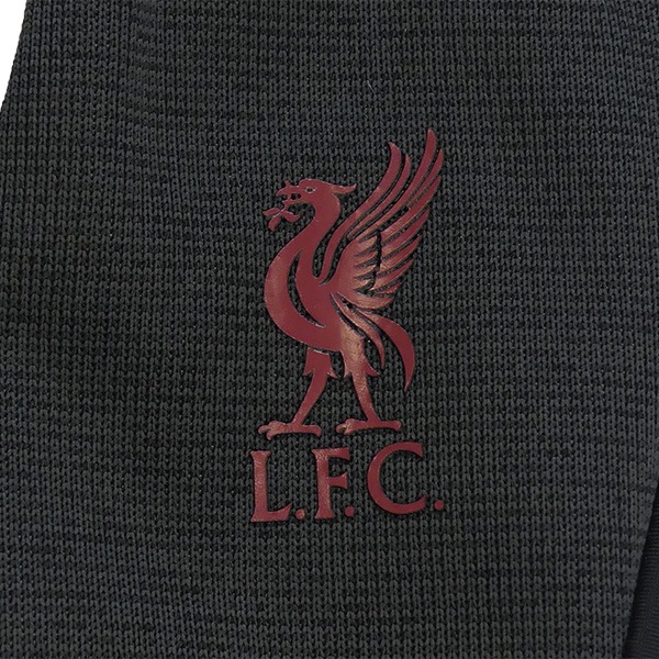 【ネコポス送料無料】 リバプール LIV アカデミー THERMA-FIT グローブ FJ4857-010 レプリカ 手袋 ナイキ NIKE