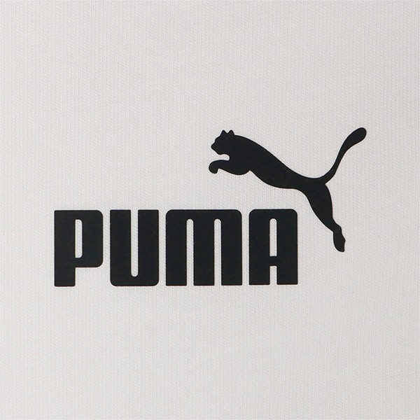 【ネコポス送料無料】 プーマ PUMA POWER L/S Tシャツ 674925 カジュアル Tシャツ 長袖 メンズ