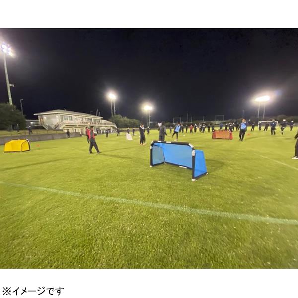 【メーカー取寄せ商品】フットボールギア footballgear クレイジーゴール 140×90 MGX-1409BLU ミニゴール トレーニング用品 ブルー