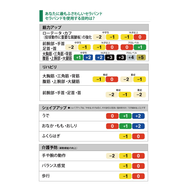 トレーニング用品 エクササイズバンド D&M セラバンド ブリスターパック シン TBB1