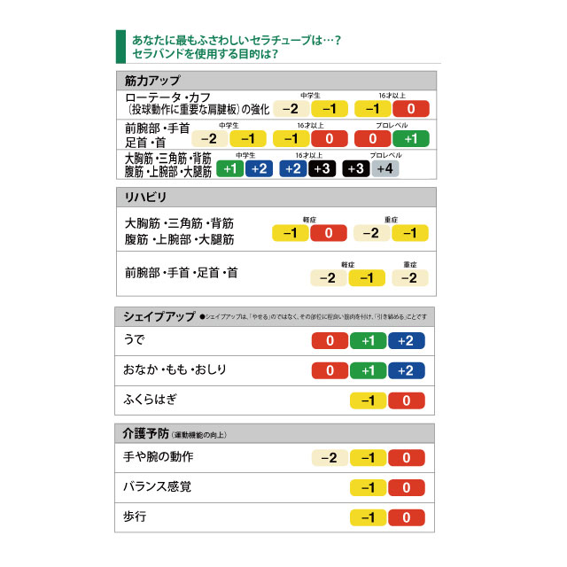 トレーニング用品 エクササイズバンド D&M セラチューブ ブリスターパック スペシャルヘビー TTB15