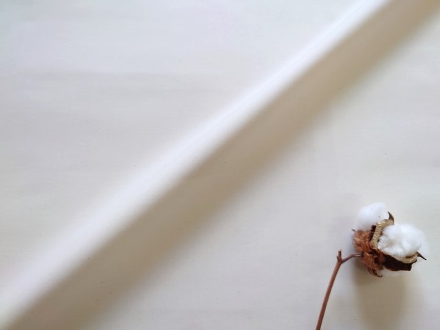 ��100���뿲���ĥ��С����������˥å�������