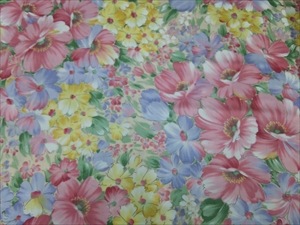 ���󥰥������ġ���������C)