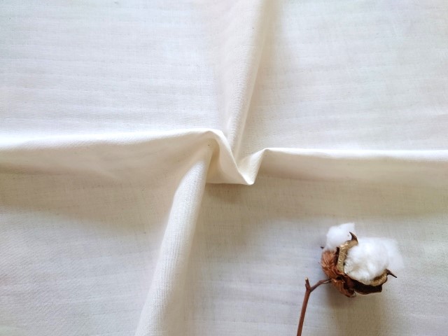 ��100���뿲���ĥ��С����������˥å������ꡡW������