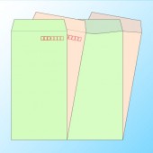 Ĺ3Ʃʤʥץ饤Хݸ˥ѥƥ륫顼80/1/Ȥꡦʤʥ襳ŽΤߡ/6,000