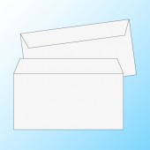 ��Ĺ3�����100/���ܿ�1������/���Ȥʤ��ʥ��ޥ�Ž���/7,000��