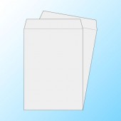 ��2����80/2�������ڹ���DIC���꿧��/���Ȥʤ�/2,000��