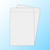 ��2����80/2�������ڹ���DIC���꿧��/���Ȥʤ�/10,000��