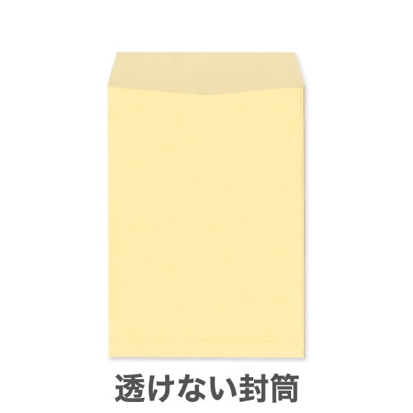 ��2Ʃ���ʤ��ʥץ饤�Х����ݸ�˥ѥ��ƥ륫�顼100/2�������ڹ��ܴ��ܿ���/���Ȥʤ��ʥ襳Ž��Τߡ�/1,500��