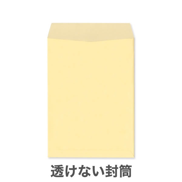 ��2Ʃ���ʤ��ʥץ饤�Х����ݸ�˥ѥ��ƥ륫�顼100/2�������ڹ���DIC���꿧��/���Ȥʤ��ʥ襳Ž��Τߡ�/1,000��