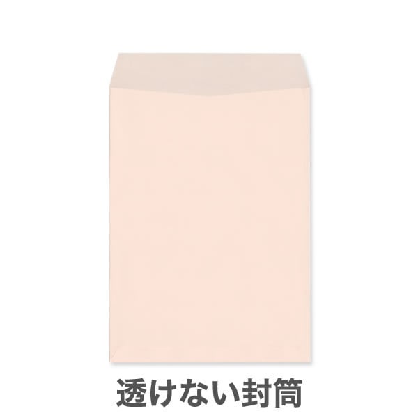 ��2Ʃ���ʤ��ʥץ饤�Х����ݸ�˥ѥ��ƥ륫�顼100/2�������ڹ���DIC���꿧��/���Ȥʤ��ʥ襳Ž��Τߡ�/4,000��